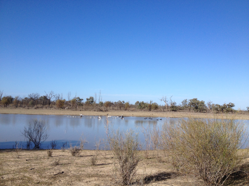 Illustration for article titled Roamin' the Riverland.